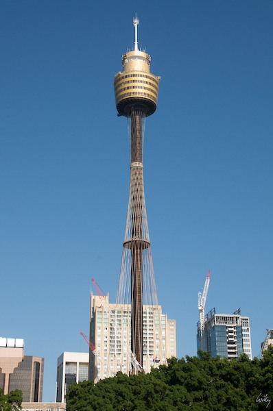 AustraliaEast 10  095